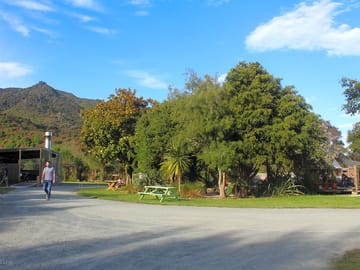 The site