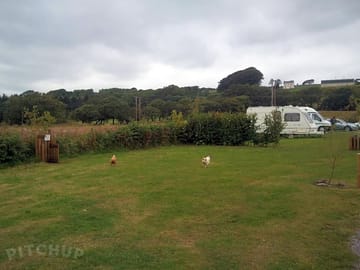The western side of the camping field