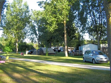 The site
