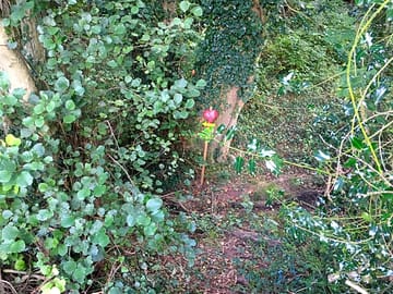 Deerheart trail, takes the littles to the sandpit and roundhouse in the woods.