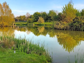 Lake view