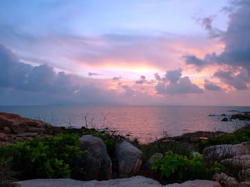 Bowen sunrises