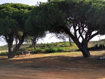 Tree-shaded pitches