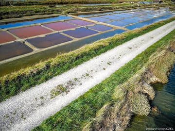 Les marais salants de l'ile d'olonne