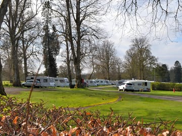 Pitches in sunny and shady spots