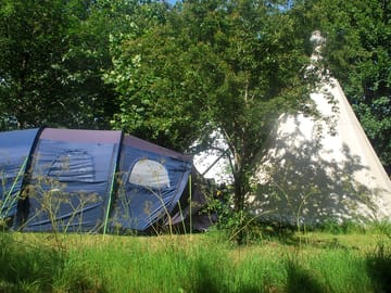 Grass pitch