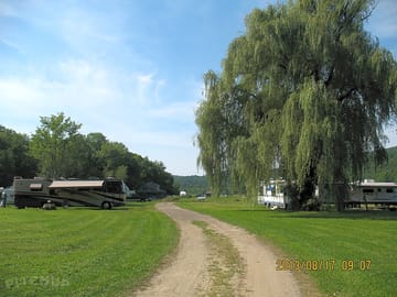 Lots of trees and grassy meadows
