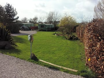 View of the pond