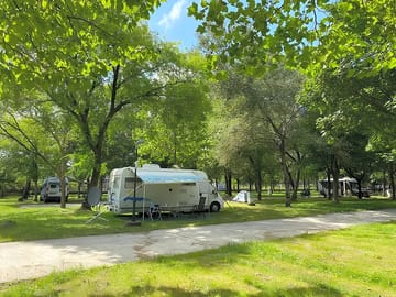 Pitch under the trees