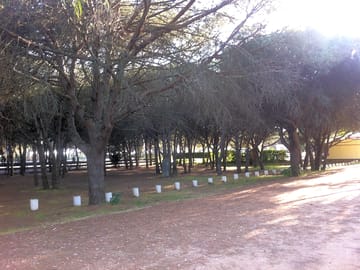 Overview of the campsite