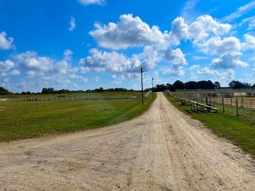 Blue sky