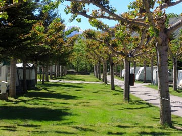 PAERCELAS