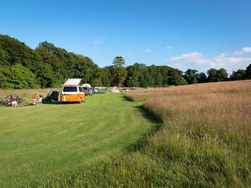 View of the site
