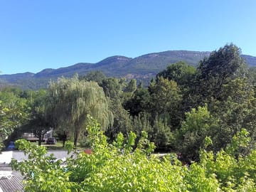 Trees and grassy hills