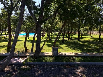 The site