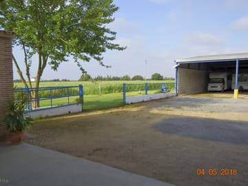 Greenery around the site