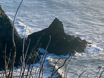 Nearby views