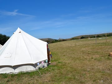 View across the field to corfe castle from the bell tents