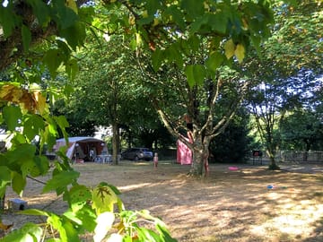 Leafy green site