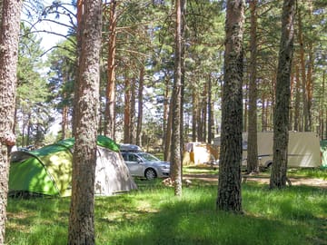 Forest pitches