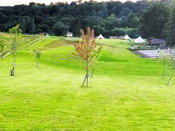 View of the site