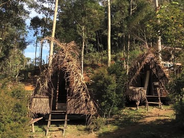 Exterior of cabin