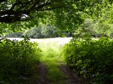 Entrance to the campsite