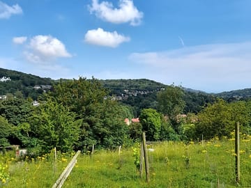 View from site