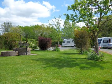 The Orchard