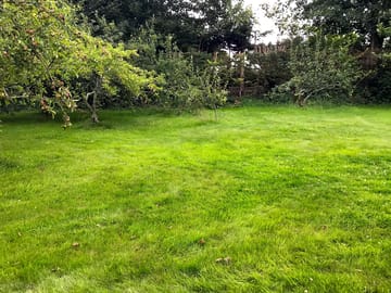 Grass pitch in the south part of the garden, in the orchard