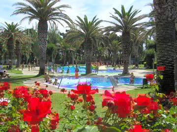 Swimming pool surrounded by plants and trees
