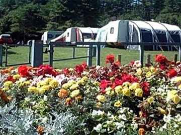 The Camp Site