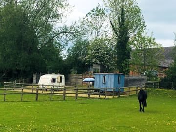 Shepherd's hut and vintage caravan