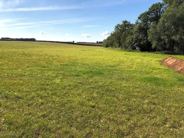 View of the field