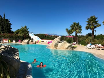 Pool surrounded by palms