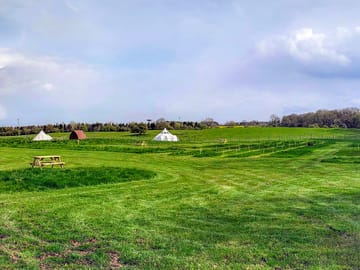 Site view