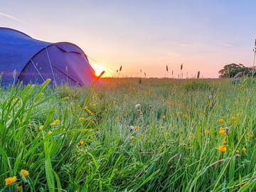 Wild camping pitch