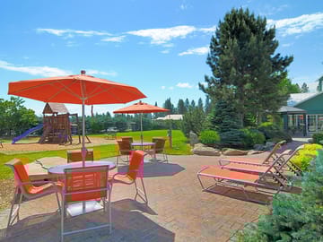 Patio with outdoor tables and sun loungers