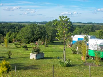 The site