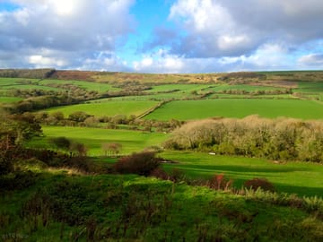 The surrounding fields