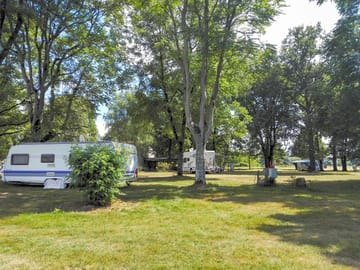 Large pitches shaded by trees