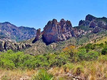 The surrounding area