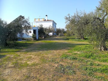 View to the house