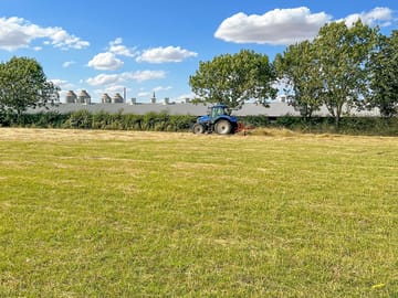 Visitor image of the field