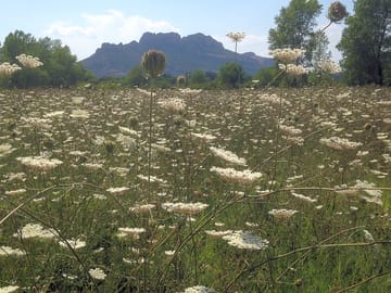 View across to Roquebrune Rock