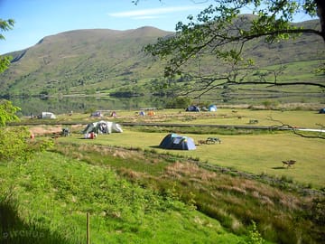 Snowdon Valley Camping