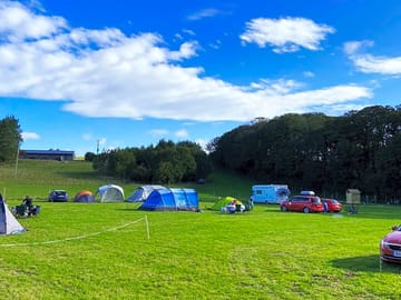 The site