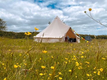 Tent pitched in a re-wilding meadow