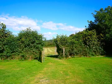 Gate through to wild flower meadow from upper field