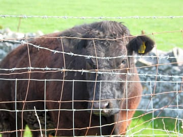 Neighbours